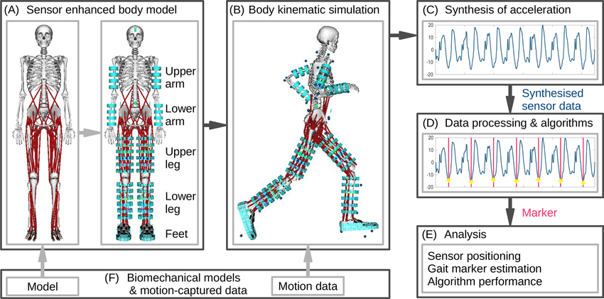 Motion Analysis Example